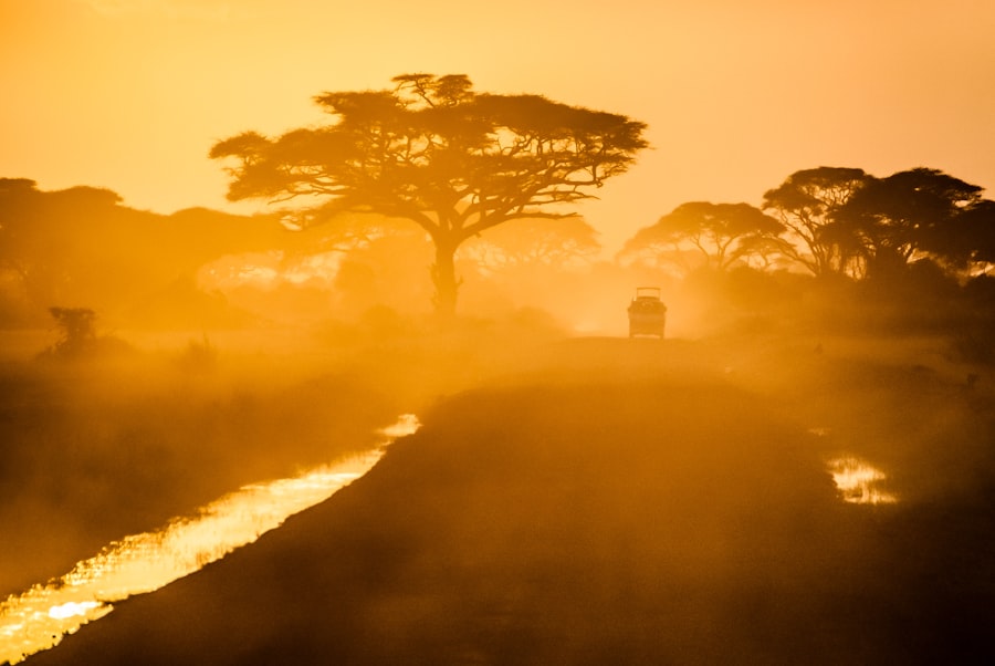 Discovering the Magic of the African Bush at HillsNek Safari Camp – Amakhala Game Reserve
