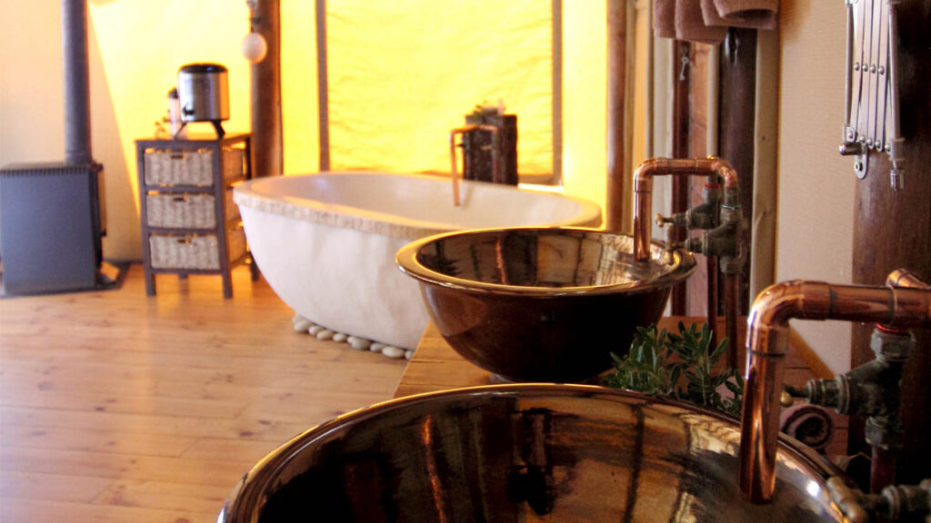Top Reasons to Stay at Amakhala Bush Lodge for Your Next Safari Adventure – Amakhala Game Reserve