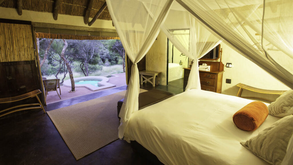 Indulge in Luxury at Amakhala Safari Lodge: A Wildlife Lover's Paradise – Amakhala Game Reserve