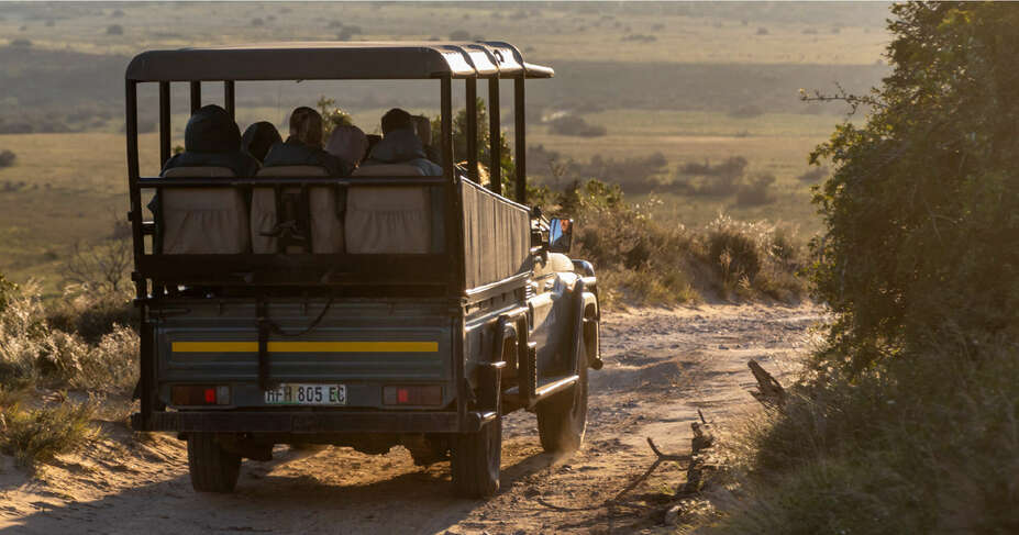 "Woodbury Lodge: Experience the Best of Amakhala Game Reserve in Style" &ndash; Amakhala Game Reserve