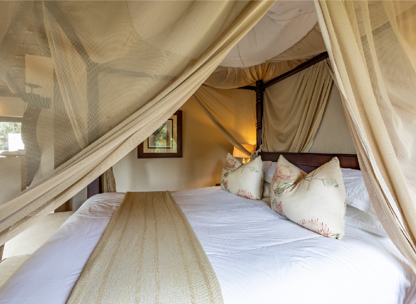 Why Bukela Game Lodge Is the Perfect Spot for a Private Safari Escape – Amakhala Game Reserve