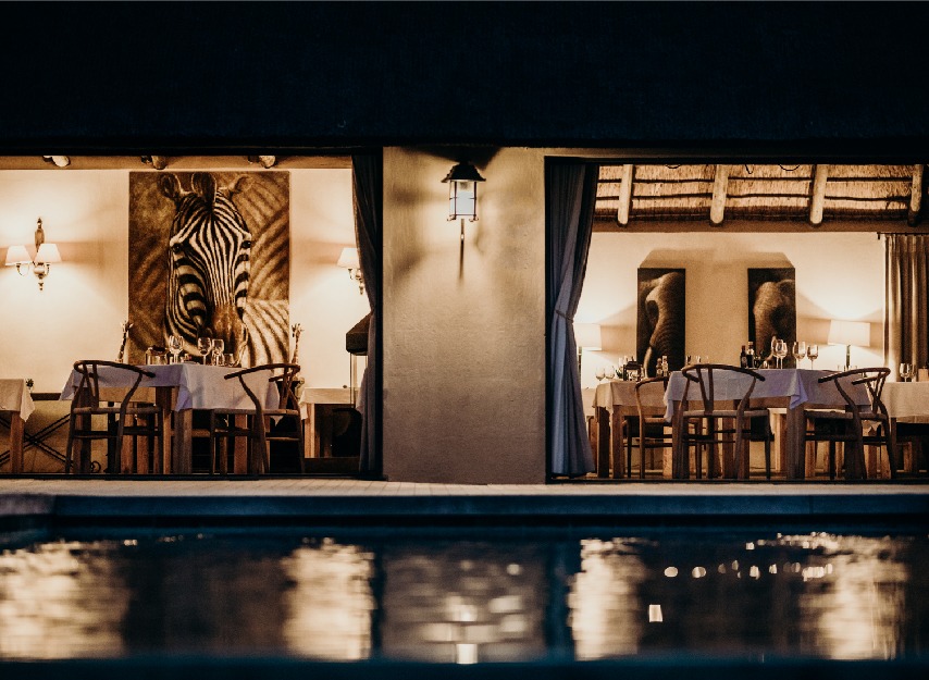 "Bukela Game Lodge: A Safari Escape Like No Other in Amakhala" &ndash; Amakhala Game Reserve
