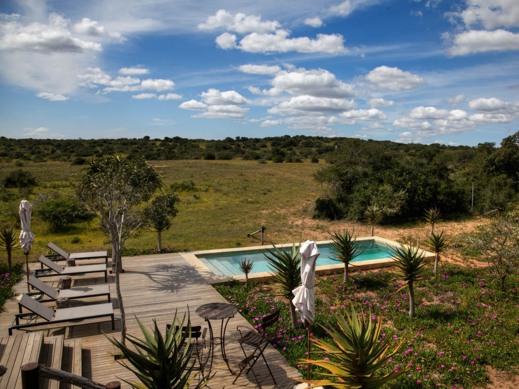 Bush-Lodge-Amakhala-12
