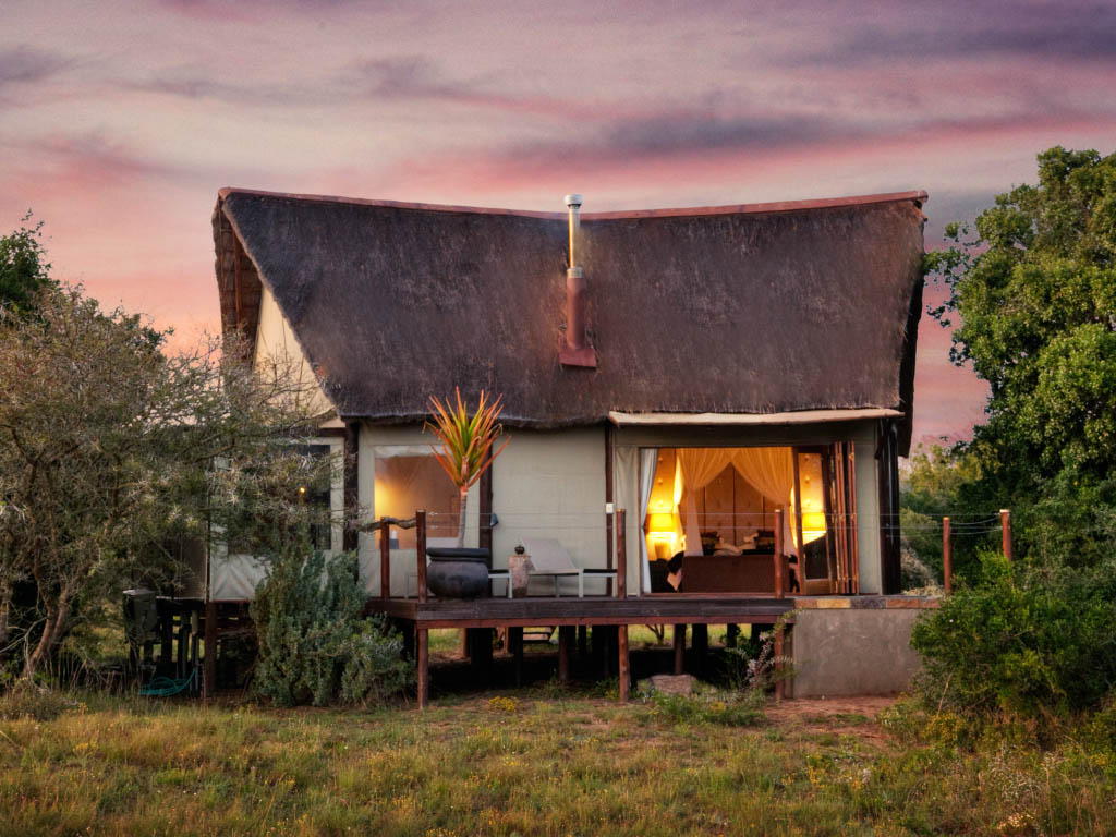 Bush-Lodge-Amakhala-7