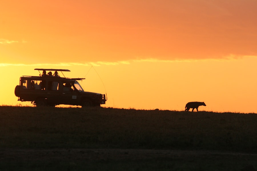"Why Hlosi Game Lodge Is the Best Choice for a Luxury Family Safari" &ndash; Amakhala Game Reserve