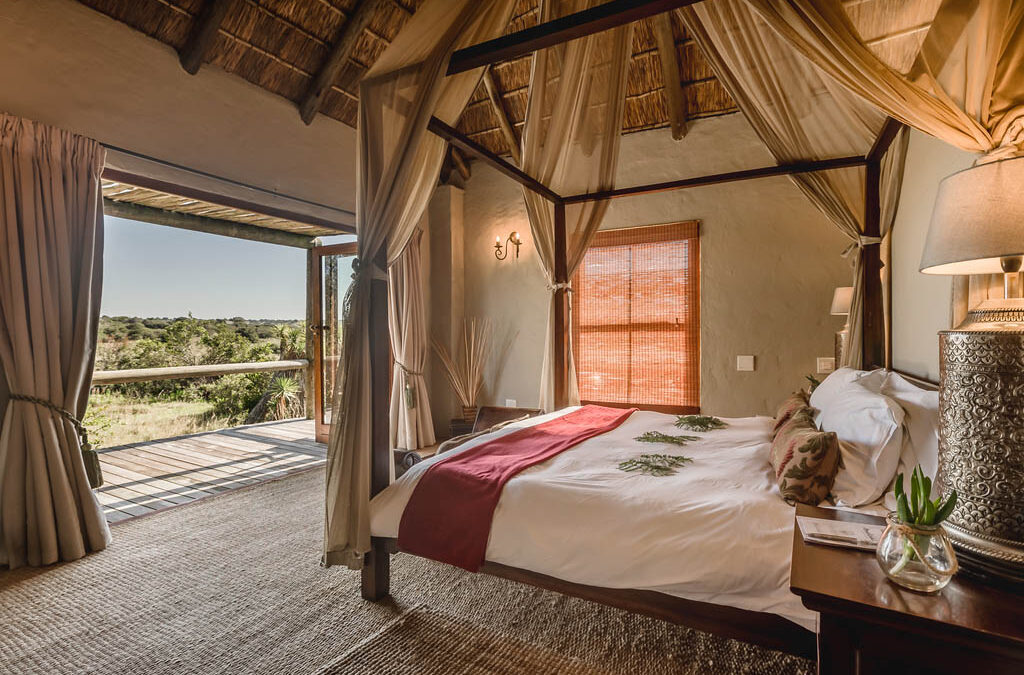 Hlosi Game Lodge: Family-Friendly Luxury in Amakhala Game Reserve