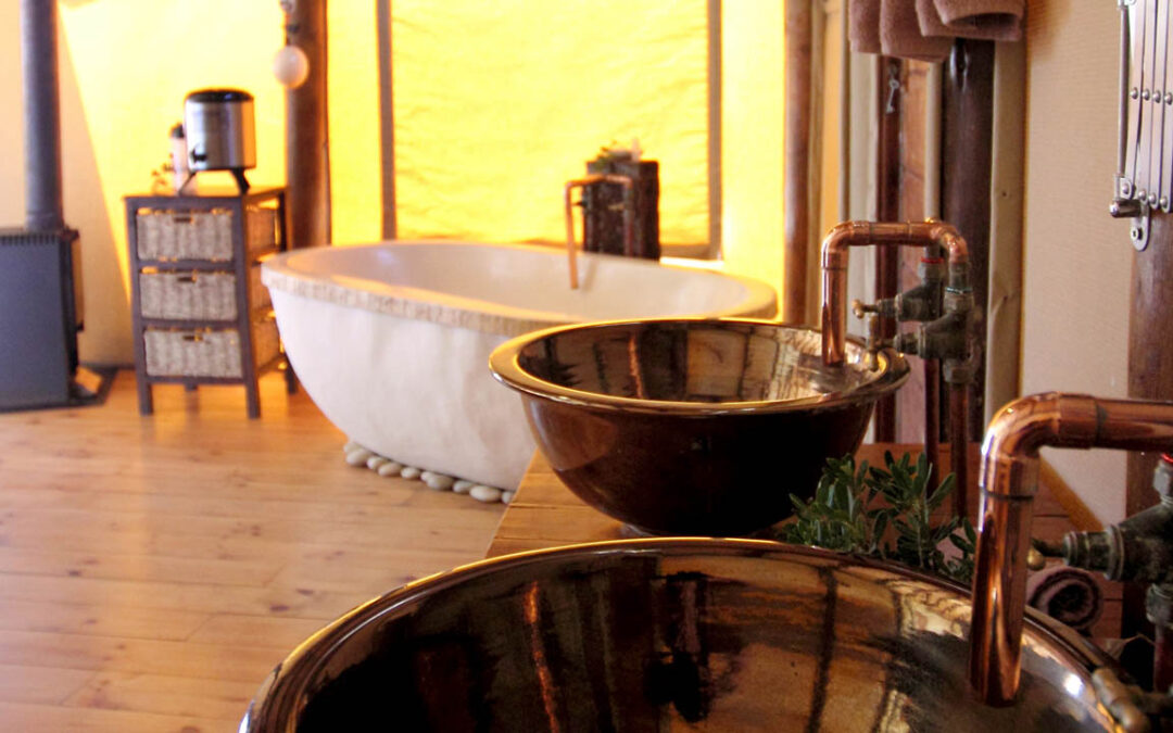 “Top 5 Reasons to Choose Amakhala Bush Lodge for Your Next Luxury Safari”