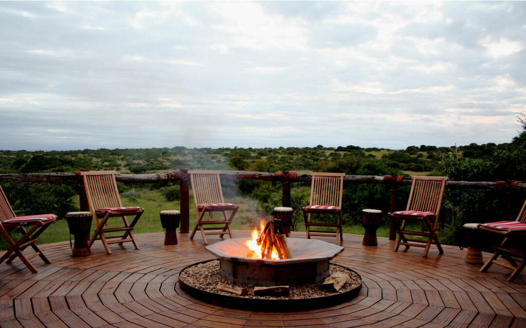 “Discover Tranquility at Amakhala Bush Lodge: A Luxury Retreat in the Wilderness”